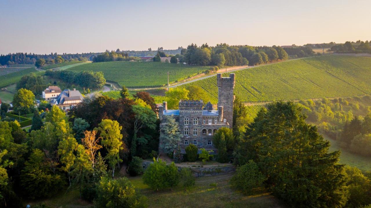 Saar Castle - Cozy Mansion Near Vineyard Villa Serrig Eksteriør bilde